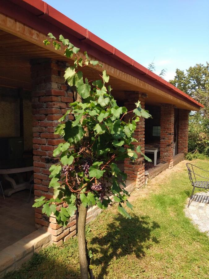 ホテル Omsi House テラヴィ エクステリア 写真